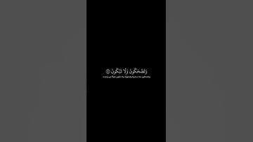 تلاوة خاشعة للقارئ ادريس ابكر | كروما شاشة سوداء قرآن كريم | سورة النجم