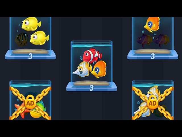 Fish Sort 3D Match Puzzle Level 13 14 - YouTube