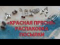 СЕРЕБРО 925 пробы от Красной Пресни СУЛТАНИТЫ распаковка