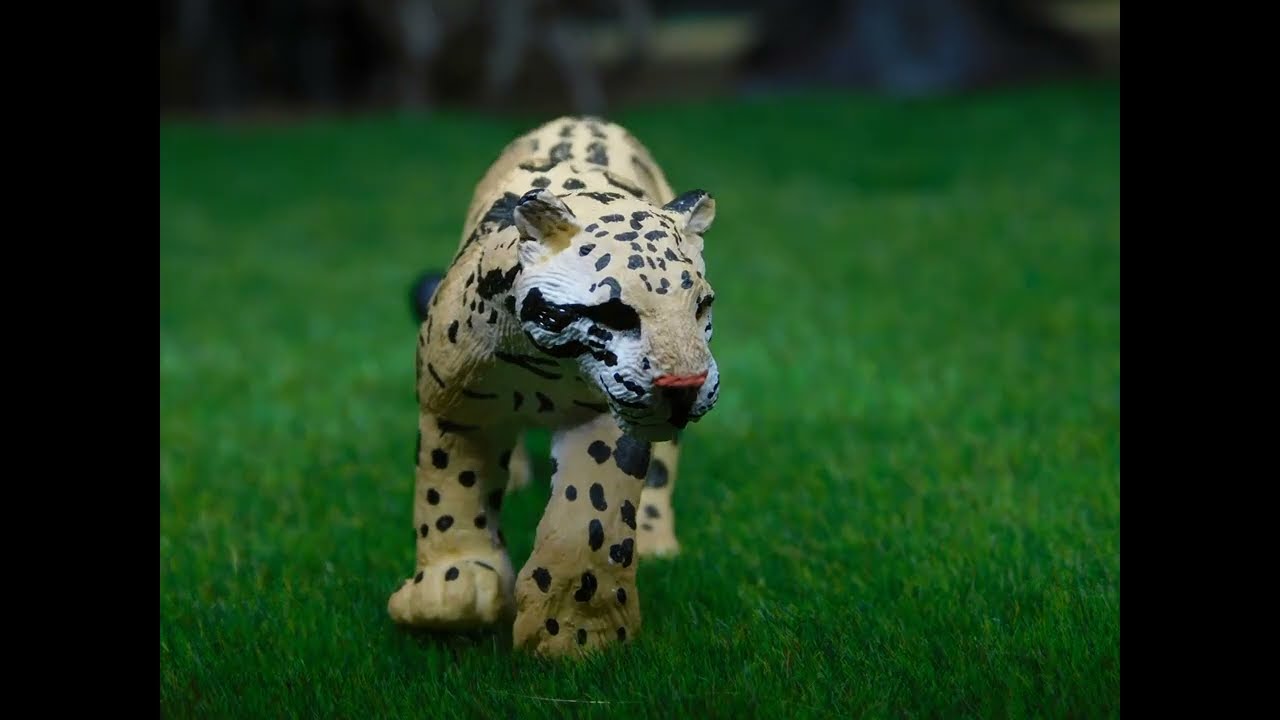 JUNGLE animals | Toy Animal Figurines  Schleich, Papo, Mojö fun | Stop motion video