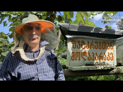 ფუტკრებთან მოლაპარაკე