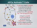 BIO734 Advances in Cell Biology Lecture No 76