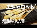エシャロットの醤油炒めの作り方【おつまみレシピ】Shallot stir-fried in soy sauce [Recipe]