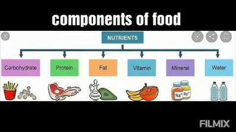Components of food | Chapter 3 | Class 5