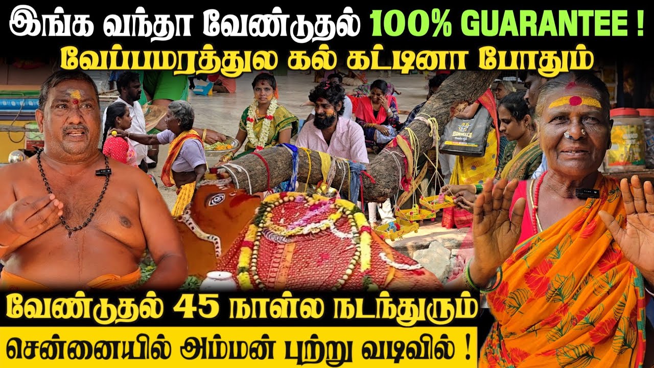 எலுமிச்சை வச்சா 45 நாள்ல நடந்துடும் | Chennai Temple PUTLUR AMMAN