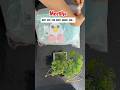 Best Baby Organizer Under Budget 🍼 | Cute Jute Storage Box Malayalam | Meesho Finds #shorts #yt