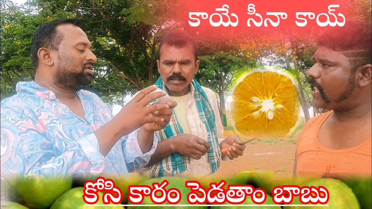 కాయే కాయే కోసి కారం పెట్టే కాయ 