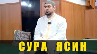 Сиратуллах Раупов | Сура Ясин - Фатхуль Ислам