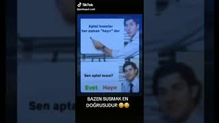 Sen Aptalmısın