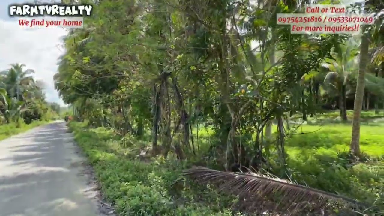 VLOG #94 PROPERTY NA MALAWAK ANG NIYUGAN SA TAGKAWAYAN QUEZON 5has (see description below)