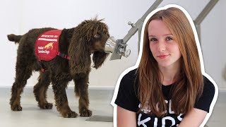 Training dogs to detect COVID-19 | CBC Kids News