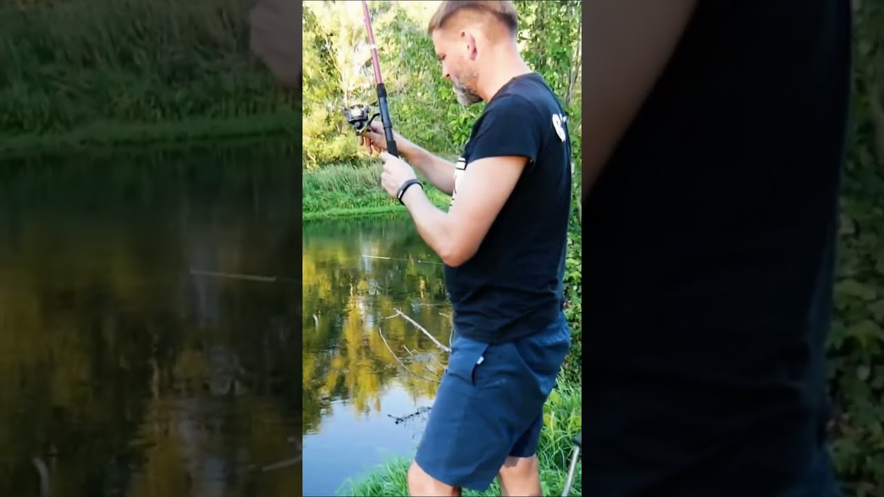 Тройная донка и результат ))) #горерыбаки #рыбалка #приколы #донка