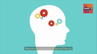 Your Brain Edits Reality Before You See It | Perception Explained