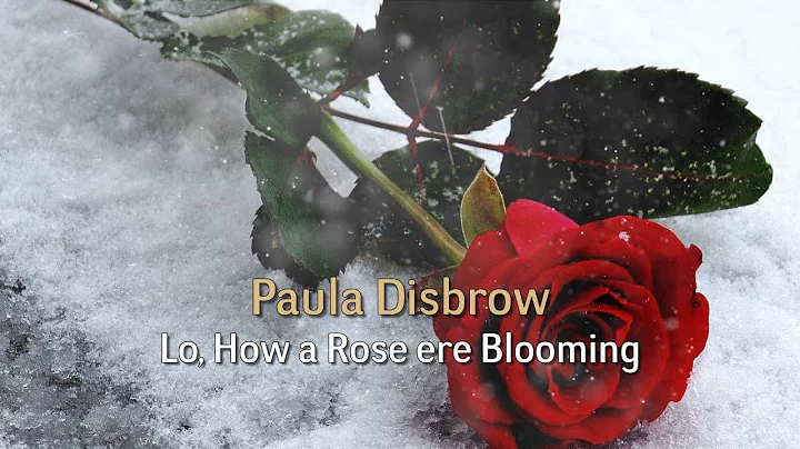 Paula Disbrow - Lo, How a Rose ere Blooming
