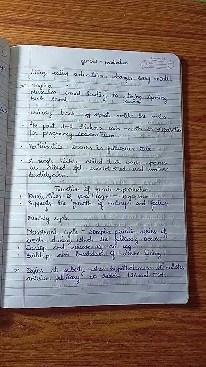 reproductive-system-class-10-icse-notes-biology-youtube
