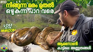 AMAZON#10🇧🇷ആമസോൺ കാടിനകത്തെ നിഗുഢ കാഴ്ചകൾ 🇧🇷 LOST IN THE AMAZON FOREST| Brazil By Travelista