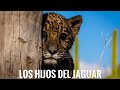 CHIMALAPAS,LOS HIJOS DEL JAGUAR | #OAXACA