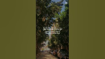 #تلاوة_خاشعة #اذكروا__الله__كثيرا__ #المصحف