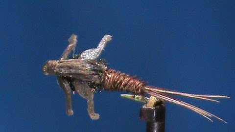 Beginner Fly Tying a Lively Legz Pheasant Tail with Jim Misiura