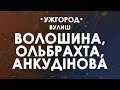 Ужгород. Вулиці Волошина, Ольбрахта, Анкудінова