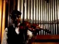 Amazing violin - Birds of our youth