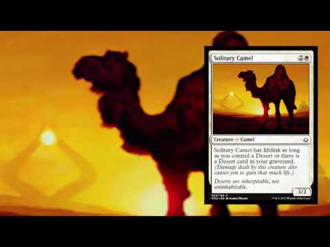 Solitary Camel