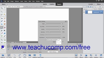 Photoshop Elements 2019 Tutorial Setting Shape Dynamics Adobe Training