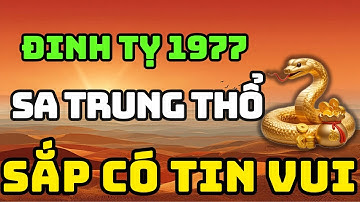 Tuổi Đinh Tỵ 1977 Là Người Có Phúc Có Phần, Về Già Hưởng Lộc Tổ Tiên Nếu Biết Sớm 8 Điều Này