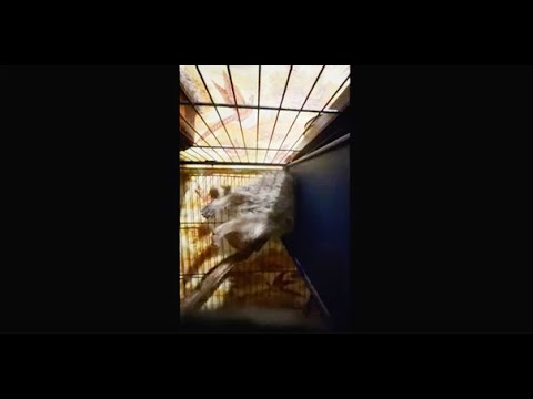 СМЕЁМСЯ ВМЕСТЕ !