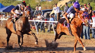 Carreras de Caballos en Cumpas 02 Septiembre 2023