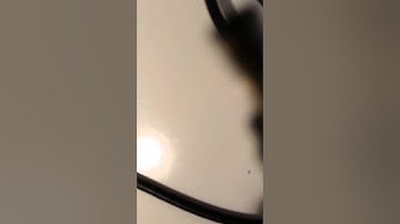 Android CS918 Plus How to Connect Very Simple