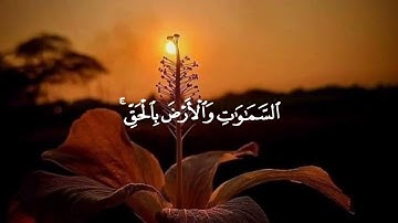 أَلَمۡ تَرَ أَنَّ ٱللَّهَ خَلَقَ ٱلسَّمَٰوَٰتِ وَٱلۡأَرۡضَ بِٱلۡحَقِّۚ 🌷 #سورة_إبراهيم #اسلام_صبحي