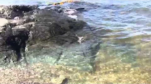 The Sound Of The Waves