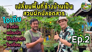 เปลี่ยนพื้นที่ข้างบ้านเป็นสวนผักปลอดสาร EP.2 | ค้างผัก แปลงผัก โต๊ะปลูกผัก โรงเรือน | สวนผักพ่อครัว