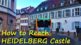 How to reach to Heidelberg Castle from Main Heidelberg Station| Heidelberg Germany