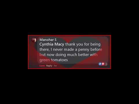 Green Tomatoes Testimonials | Learn How To Trade Forex Successfully
