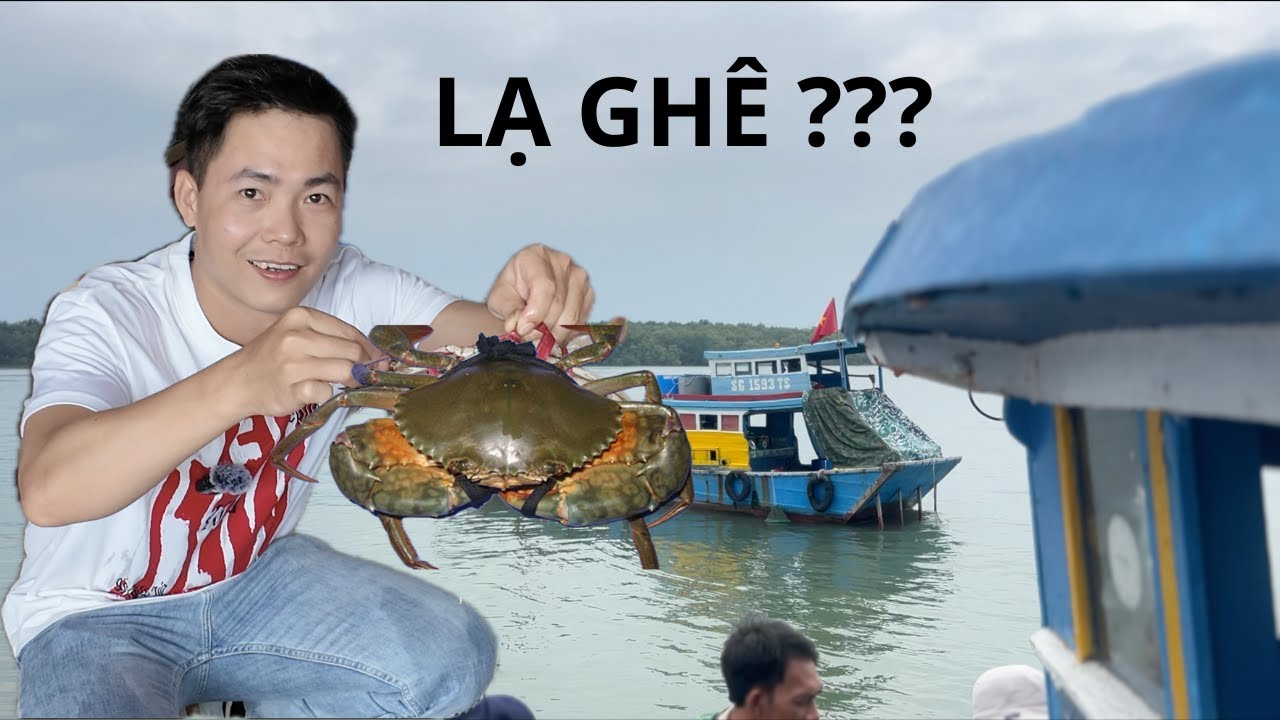Khám Phá Đảo Thạnh An Chỉ Trọng 4h… Vì Sao? Du Hý Biển Đảo Việt Nam