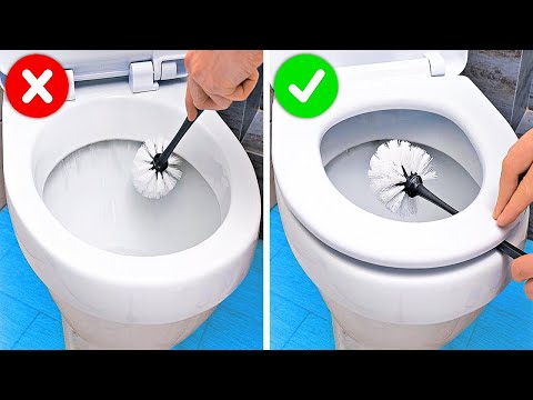 Video: Bạn có thể bỏ gì vào nhà vệ sinh bằng phân trộn?