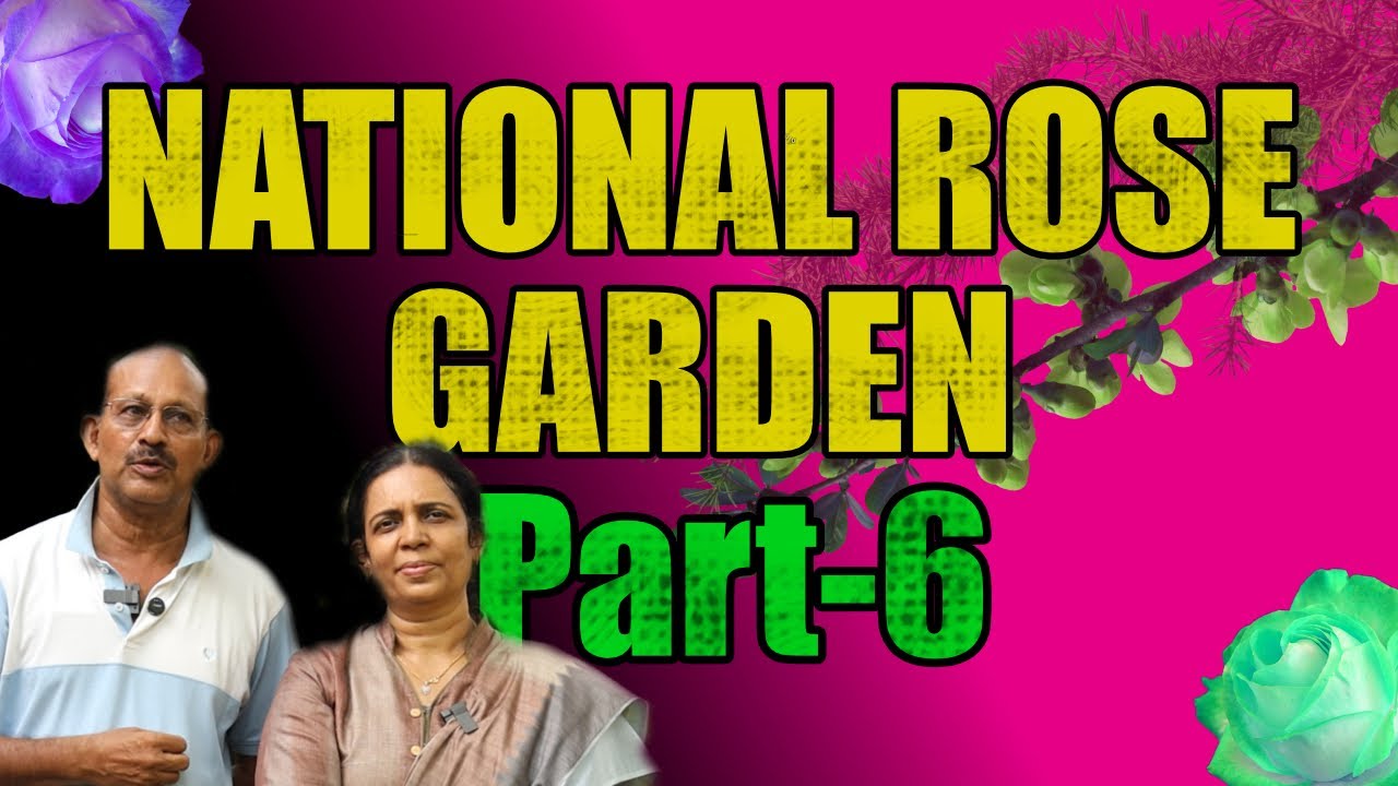 Part-6 പടുകൂറ്റൻ വിദേശം മാതൃവൃക്ഷ തൈകളുടെ ശേഖരം | NATIONAL ROSE GARDENS | NR | Garden Tour