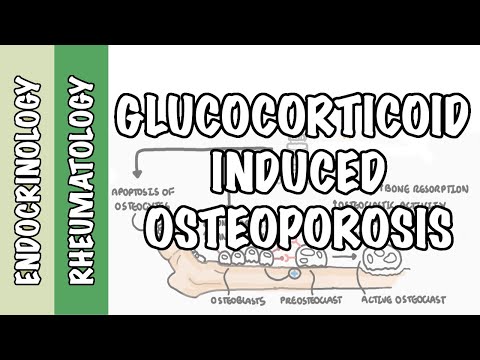 ग्लूकोकॉर्टीकॉइड प्रेरित ऑस्टियोपोरोसिस और फ्रैक्चर - फ्रैक्चर का तंत्र और पैथोफिज़ियोलॉजी