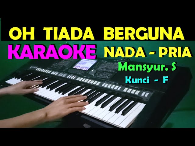 JANGAN MENGHARAP - Mansyur | Karaoke Nada Pria class=