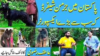 The Fascinating World of Atif Rizvi, German Shepherd Lover & Nature Enthusiast