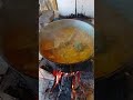 #pescaria