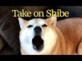 Take on Shibe