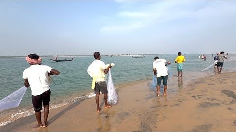 Fishing Net Video - Amazing Traditional Cast Net Fishing Village In River 