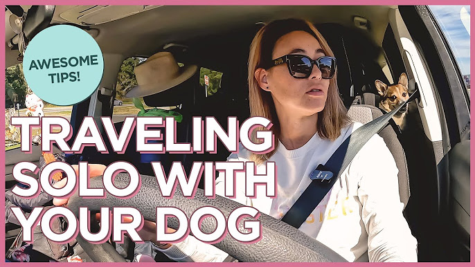 Paws and Passport: Adventures in Pet-Friendly Travel