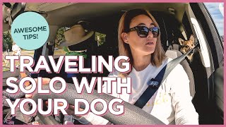 Tips on Traveling Solo with Your Dog on a CrossCountry Road Trip