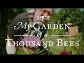 My garden of a thousand bees  pbs nature trailer 2021