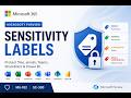 Microsoft Purview Sensitivity Labels Explained | Files, Emails, Teams, SharePoint & Encryption