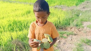 Found Grasshopper At The Paddie-Field. #Grasshopper #CountrySide CountrysideLife